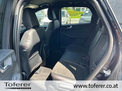 Ford Kuga Gebrauchtwagen Ford Kuga Gebrauchtwagen