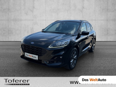 Ford Kuga Gebrauchtwagen Ford Kuga Gebrauchtwagen