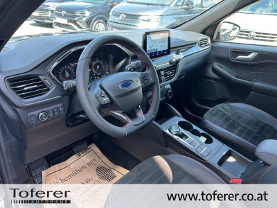 Ford Kuga Gebrauchtwagen Ford Kuga Gebrauchtwagen