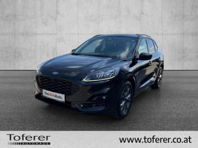 Ford Kuga Gebrauchtwagen Ford Kuga Gebrauchtwagen