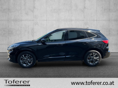 Ford Kuga Gebrauchtwagen Ford Kuga Gebrauchtwagen