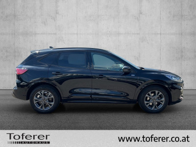Ford Kuga Gebrauchtwagen Ford Kuga Gebrauchtwagen