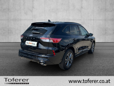 Ford Kuga Gebrauchtwagen Ford Kuga Gebrauchtwagen