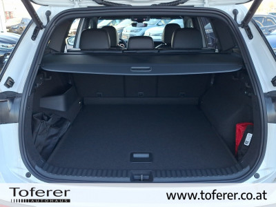 VW Tayron Gebrauchtwagen VW Tayron Gebrauchtwagen