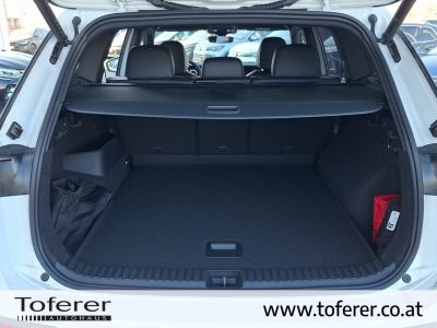VW Tayron Gebrauchtwagen VW Tayron Gebrauchtwagen
