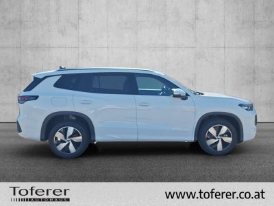VW Tayron Gebrauchtwagen VW Tayron Gebrauchtwagen