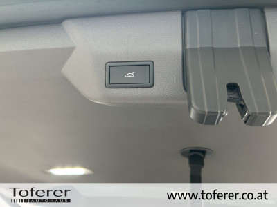 VW California Gebrauchtwagen
