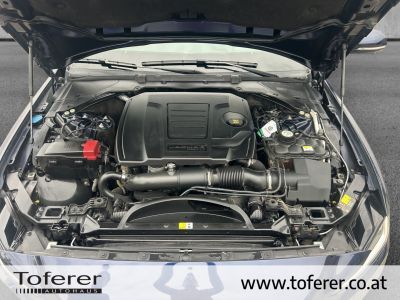 Jaguar XE Gebrauchtwagen