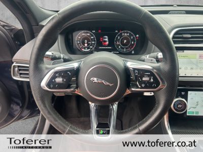 Jaguar XE Gebrauchtwagen