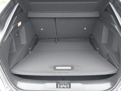 Renault Arkana Gebrauchtwagen