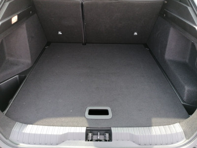 Renault Arkana Gebrauchtwagen