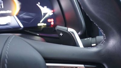 DS Automobiles DS 7 Gebrauchtwagen