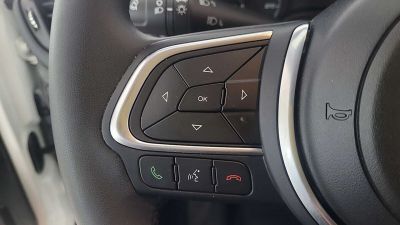 Fiat Tipo Gebrauchtwagen