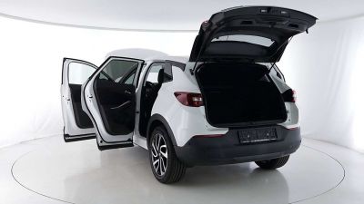 Opel Grandland X Gebrauchtwagen
