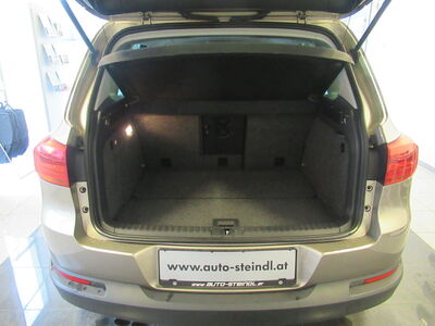 VW Tiguan Gebrauchtwagen