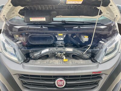 Fiat Ducato Gebrauchtwagen