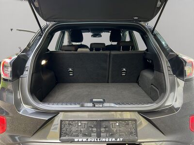 Ford Puma Gebrauchtwagen Ford Puma Gebrauchtwagen