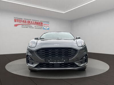 Ford Puma Gebrauchtwagen Ford Puma Gebrauchtwagen