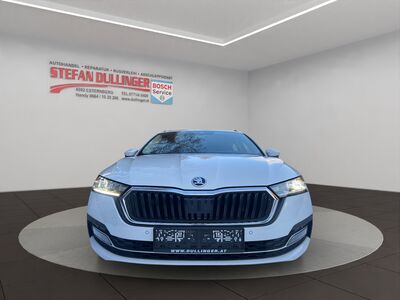 Skoda Octavia Gebrauchtwagen