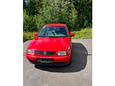 VW Polo Gebrauchtwagen