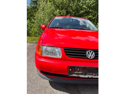 VW Polo Gebrauchtwagen