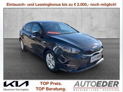 KIA Ceed Vorführwagen