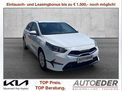 KIA Ceed Vorführwagen