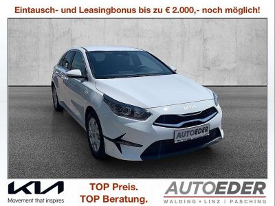 KIA Ceed Vorführwagen