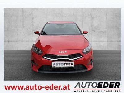 KIA Ceed Vorführwagen