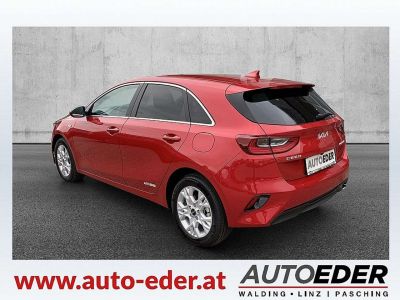 KIA Ceed Vorführwagen