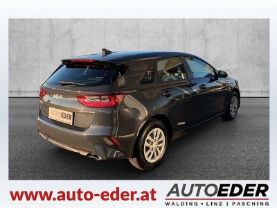 KIA Ceed Vorführwagen