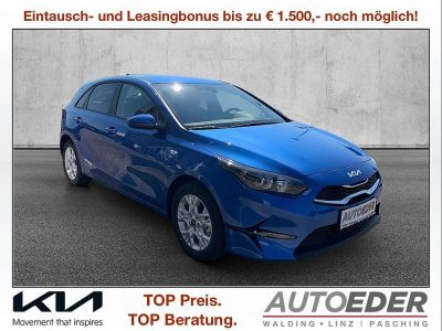 KIA Ceed Neuwagen