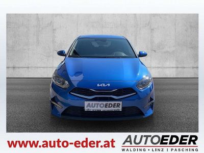 KIA Ceed Neuwagen