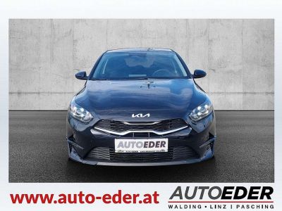 KIA Ceed Neuwagen