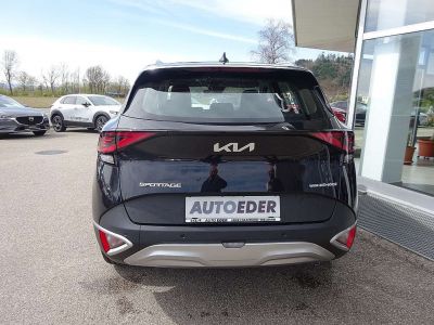 KIA Sportage Neuwagen