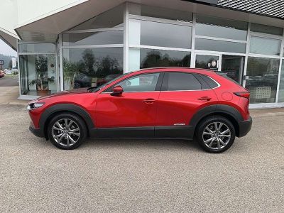 Mazda CX-30 Gebrauchtwagen