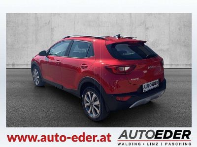 KIA Stonic Vorführwagen