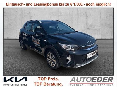 KIA Stonic Vorführwagen