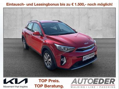 KIA Stonic Vorführwagen