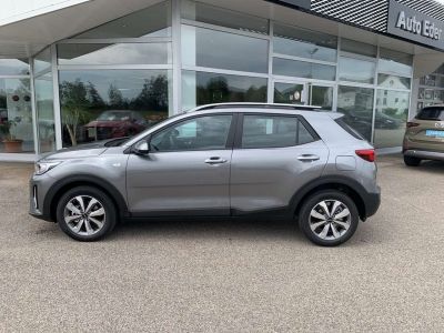 KIA Stonic Vorführwagen