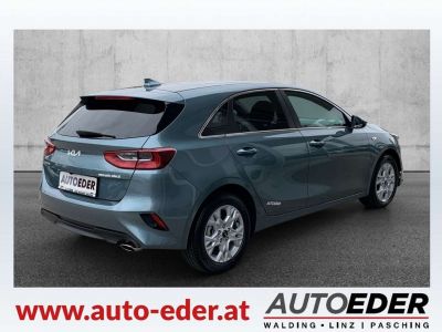 KIA Ceed Vorführwagen