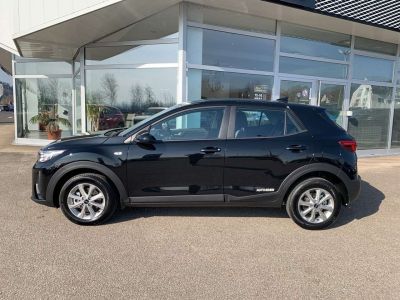 KIA Stonic Vorführwagen