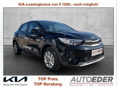 KIA Stonic Vorführwagen