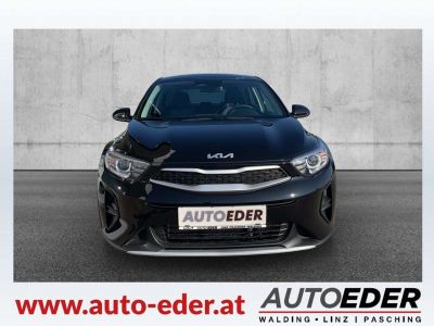 KIA Stonic Vorführwagen