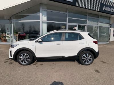 KIA Stonic Vorführwagen