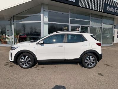 KIA Stonic Vorführwagen