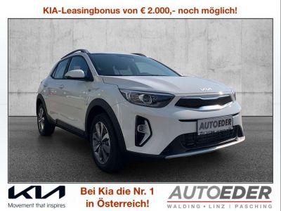 KIA Stonic Vorführwagen