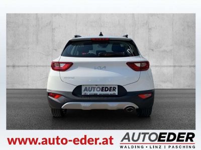 KIA Stonic Vorführwagen