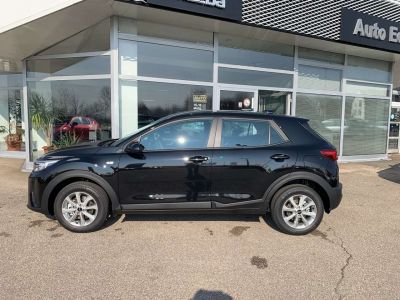 KIA Stonic Vorführwagen