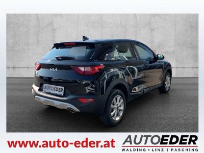 KIA Stonic Vorführwagen